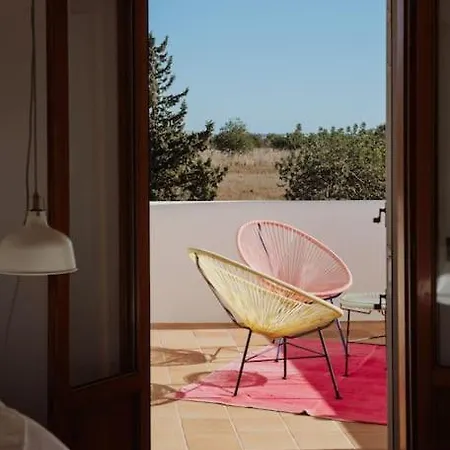 Rei Ibiza San José